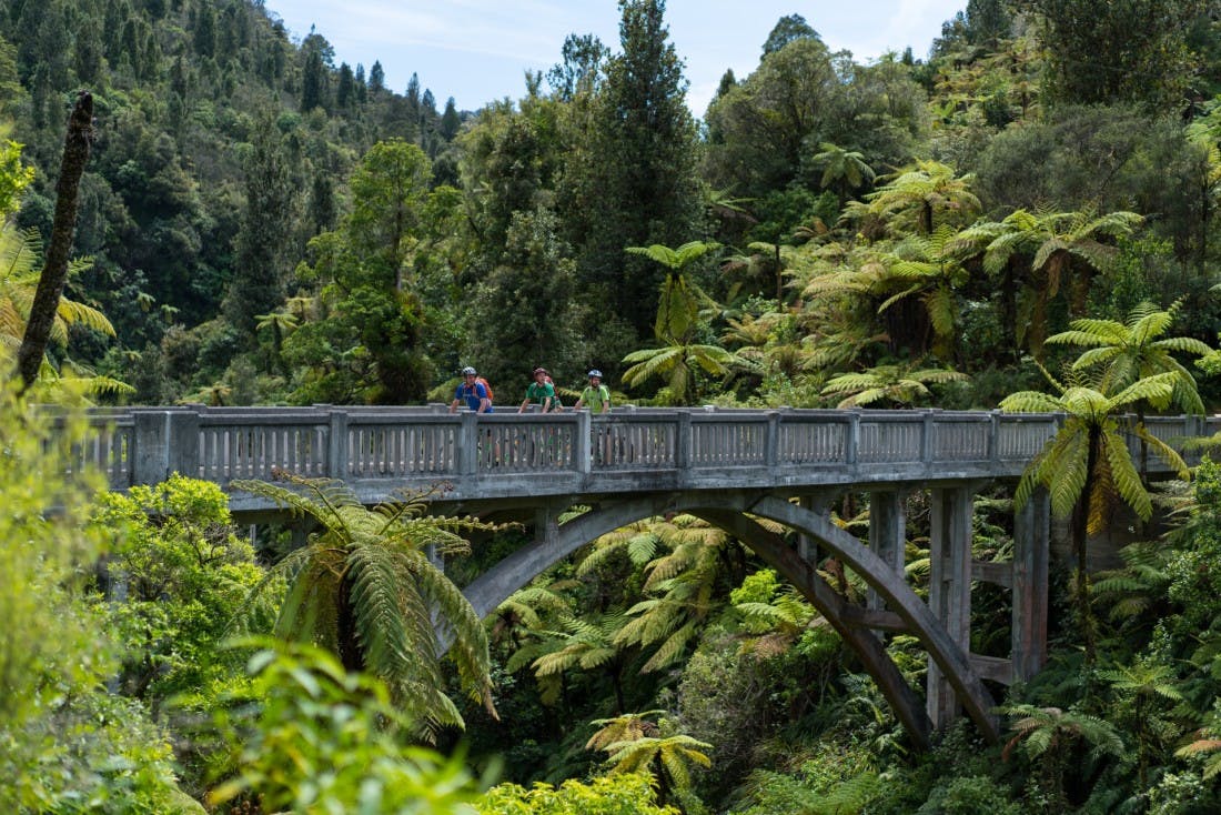 Tourists bike riding on a bridge in the forest at Whanganui National Park