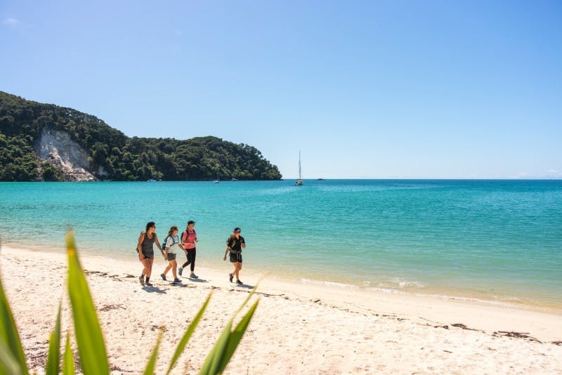 A few tourists hiking at Abel Tasman National Park in Nelson