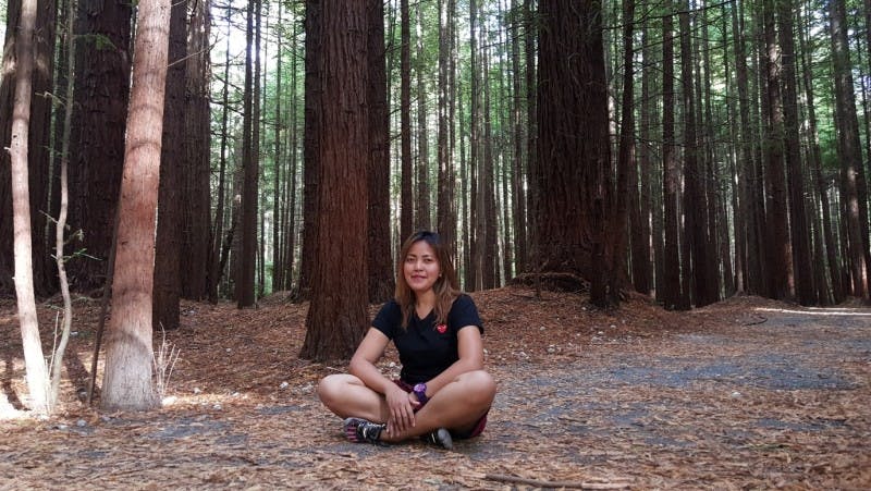 Melanie on the Redwoods tree walk in Rotorua, New Zealand
