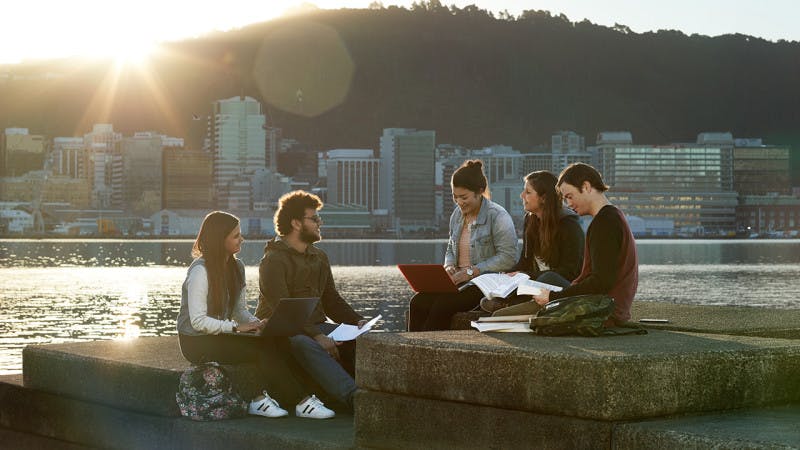 international students studying together in nature and Wellington city