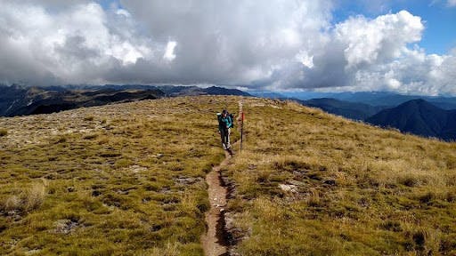 Student hiking in New Zealand
