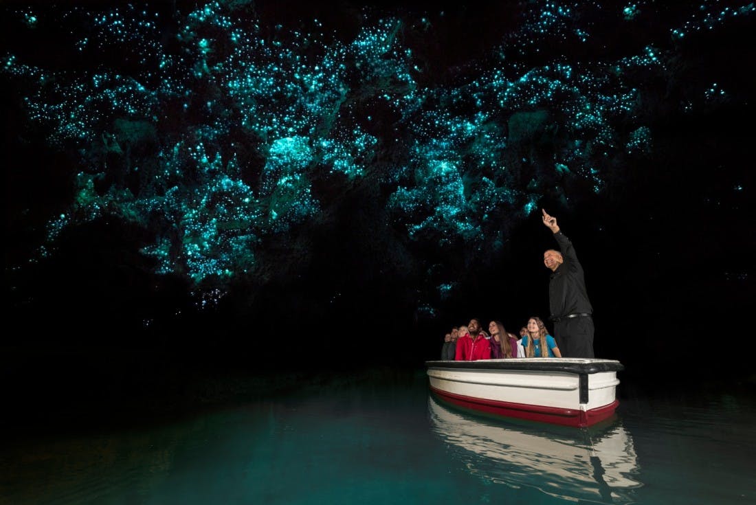 The Waitomo glow worm caves near Hamilton. 