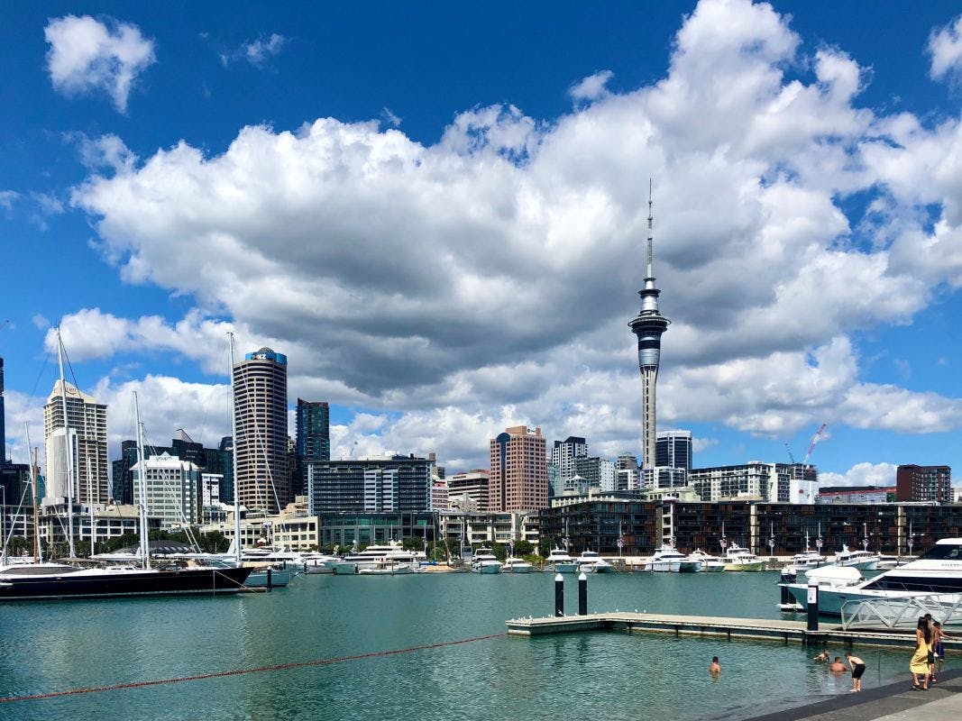 Auckland skyline on a sunny day.
Photo by Ethan Johnson on Unsplash
